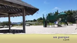 SPN - Community and Neighborhood