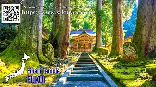 JAPAN opens finally! Sakura TV will show you another interesting area at 6pm Australia & 8pm NZ.