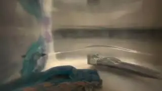 Bug bot