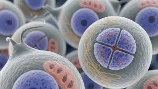 Learn Science Easily | Physics, Chemistry & Biology Concepts