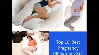 2017 world largest selling top 10 Pregnancy pillow