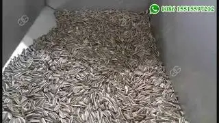 Automatic Roasted Sunflower Seeds Machine Production Line in Syria