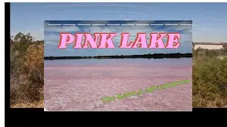PINK LAKE.