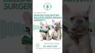 NEW EPISODE:  Bulldog Airway Surgery │ Twin Trees Vet Talk (FREE VET ADVICE PODCAST)
