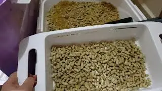 pratik kedi çam peleti temizliği 2