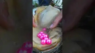 🥰Girl's Favorite Pink Pearl