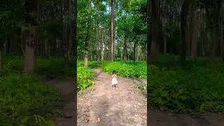 #littleadventurer #jungle #funny #cutebaby #babygirl #comedy