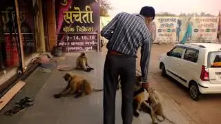 durg pulgaon market | Suganchand Sancheti thok kapda market durg |most amazing top 10