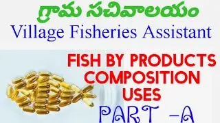 Fish By Products/PART-A//Composition//Uses//Village Fisheries Assistant//VFA//FDO.
