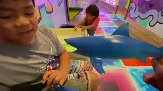Sac children&rsquo;s museum 2025
