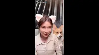 Поставьте лайк прямой трансляции в TikTok 30.12.25 [Автоматическая подписка]