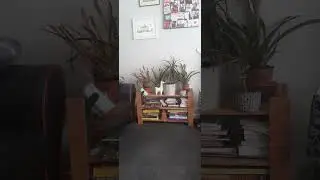 pegersis stop being negative miserable twat video