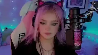 POV: You're a female streamer (thepizzawaffle)