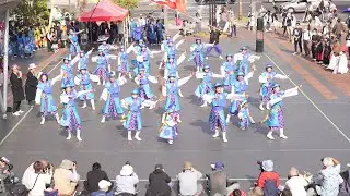 [4K] さるくCity4○3遊歩隊〜一蓮風雅〜　YOSAKOIさせぼ祭り 2022 土曜日 アルカス広場会場