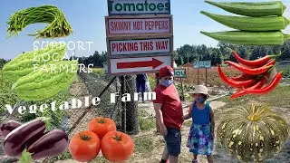 VEGETABLES FARM | SUPPORT LOCAL FARMERS | PICK YOUR OWN | FAMILY OUTDOOR ACTIVITY