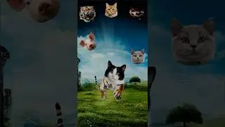 👉 Why Does This Tiger Look So Weird? 😂🐯 | #FunnyTiger #AnimalPuzzle #Shorts