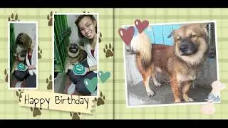Pet Photo Book