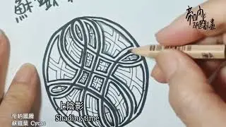 Tangle tutorial of pattern #zentangle #Cycas #stepout #帝吶圖騰 #蘇鐵葉 #步驟教學影片#正常速度