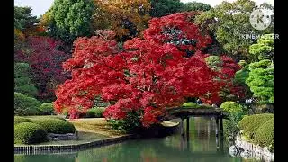 Windows 7 Autumn Color In Japan Sounds Effects