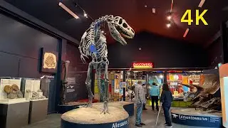 Canterbury Museum-Christchurch New Zealand.
