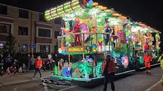Birds Of Paradise - Rubalo JCC Taunton Carnival 2024