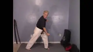 Tracy Kenpo Karate Purple Belt Lesson 7