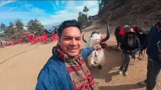KUFRI SHIMLA HIMACHAL PRADESH 🇮🇳