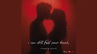 Sexy Night