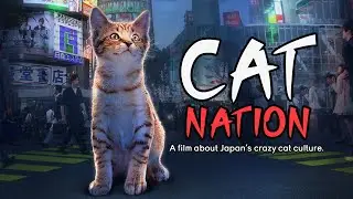 Cat Nation | Trailer | Available Now