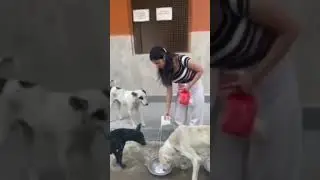 feeding the disabled , accident ridden animals #savehumanity #saveplanet #savethevoiceless