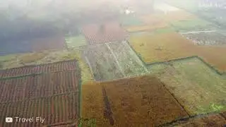 Sunrising in a beautiful village field drone footage bird's eye view