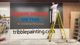Urbane Bronze | 2021 Color Of The Year by Sherwin Williams