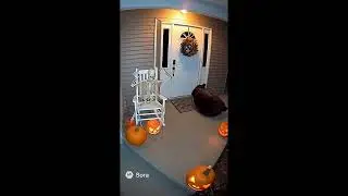 Bear Gets Scared by Halloween Decorations Compilation #shorts