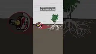 How do Plants Eat Metal? #shorts
