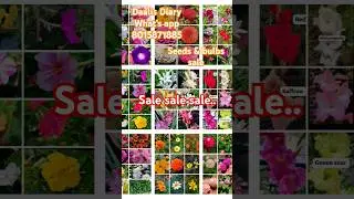 Seeds & bulbs sale Whatsapp 8015871885 #sale #gardening #garden #trending #trending #shorts #flowers