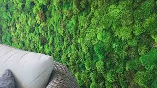 Transforming Kalea Bay with Moss: Beeart Green Wall Expert's Stunning Installation