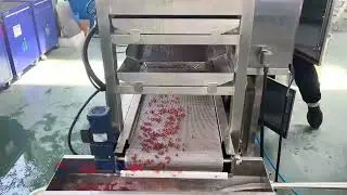 Caution for those with trypophobia！This is how popping bobas are made!