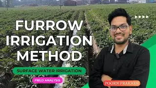 🔴 Ridge and Furrow Irrigation | Furrow Irrigation system  | Surface Irrigation  Engineering
