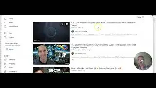 ICP Internet Computer investment 1 29 2024
