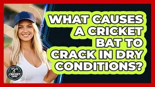 What Causes A Cricket Bat To Crack In Dry Conditions? - Go-To Cricket Guide