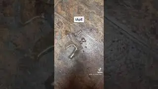 5 minute crafts be like...