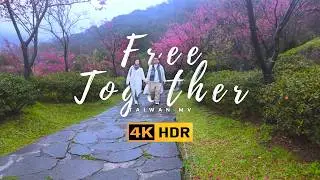 Free Together MV | Путешествие по Тайваню. Снято в HDR.