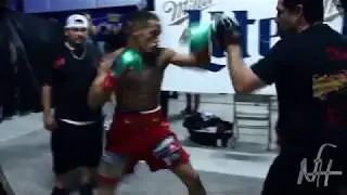 Nelson Hampton - Professional Boxer (Hype Video)