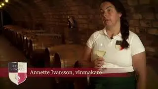 Arilds Vingård - Solaris, det vita vinet