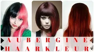 Aubergine haarkleur