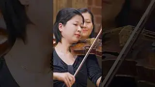 Wanna fall in love with music? ❤️❤️❤️ #music #baroque #telemann #violin #orchestra