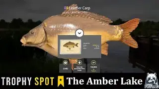 Russian Fishing 4  The Amber Lake Trophy Leather Carp Spot