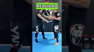 Krav Maga Expectations VS Reality