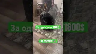 Просто слишком хорошо ,мы им научили и они не останавливаются) #usa #movingbusiness #business #топ