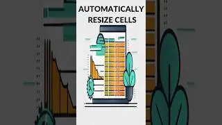 AUTOMATICALLY RESIZE CELLS IN EXCEL